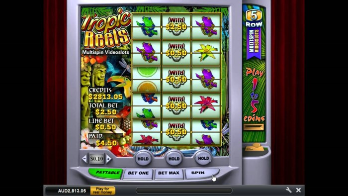 Tropic Reels Auszahlungsquote