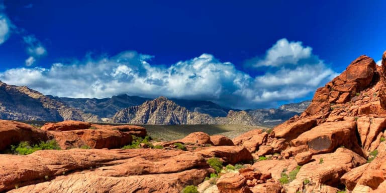 Nevada: Treasure Island Casino sucht mit Detektivarbeit nach Jackpot-Gewinner