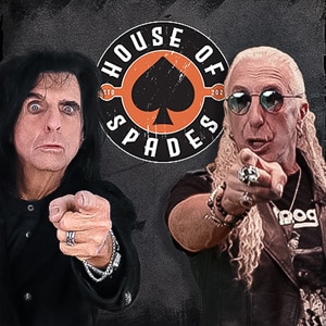House of Spades Erfahrungen 2026