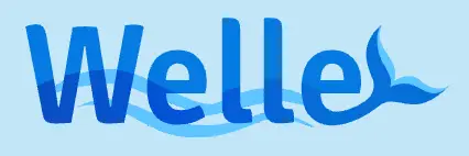 Welle Casino / 🇩🇪 Germany (British English)